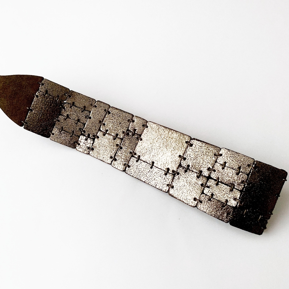 Zara Shimmering Silver and Brown Belt